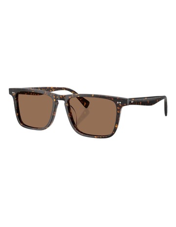 Atago Tortoise colour