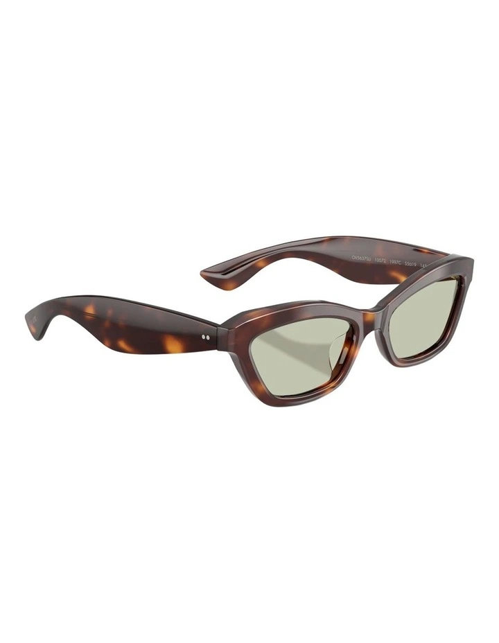 Oliver Peoples 1997C Acetate Sunglasses in Tortoise image 5