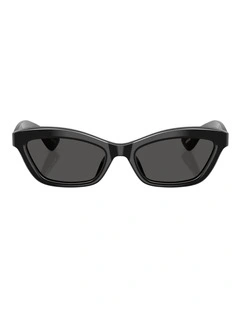 Oliver Peoples 1997C Acetate Sunglasses in Black