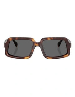 Oliver Peoples Edition 9 Acetate Sunglasses in Tortoise