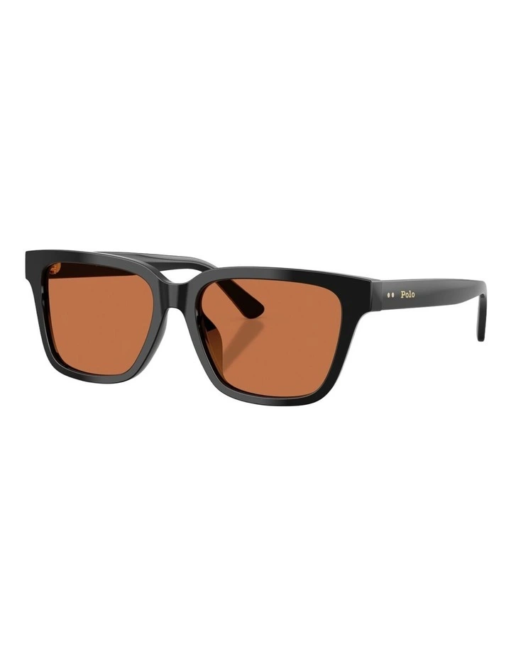 Polo Ralph Lauren Acetate Sunglasses in Black image 1