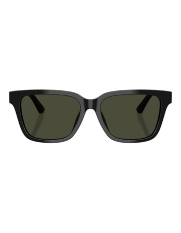 Shiny Black colour