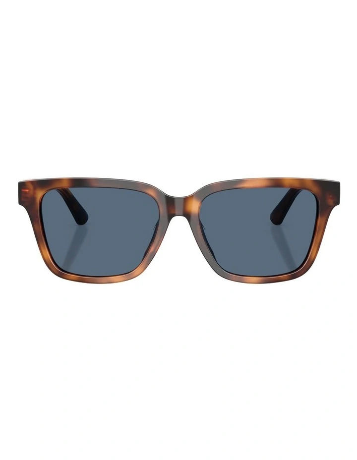 Polo Ralph Lauren Acetate Sunglasses in Tortoise image 1