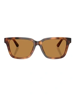 Polo Ralph Lauren  Acetate Sunglasses in Tortoise