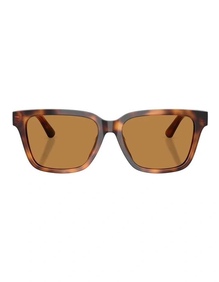 Polo Ralph Lauren Acetate Sunglasses in Tortoise image 1