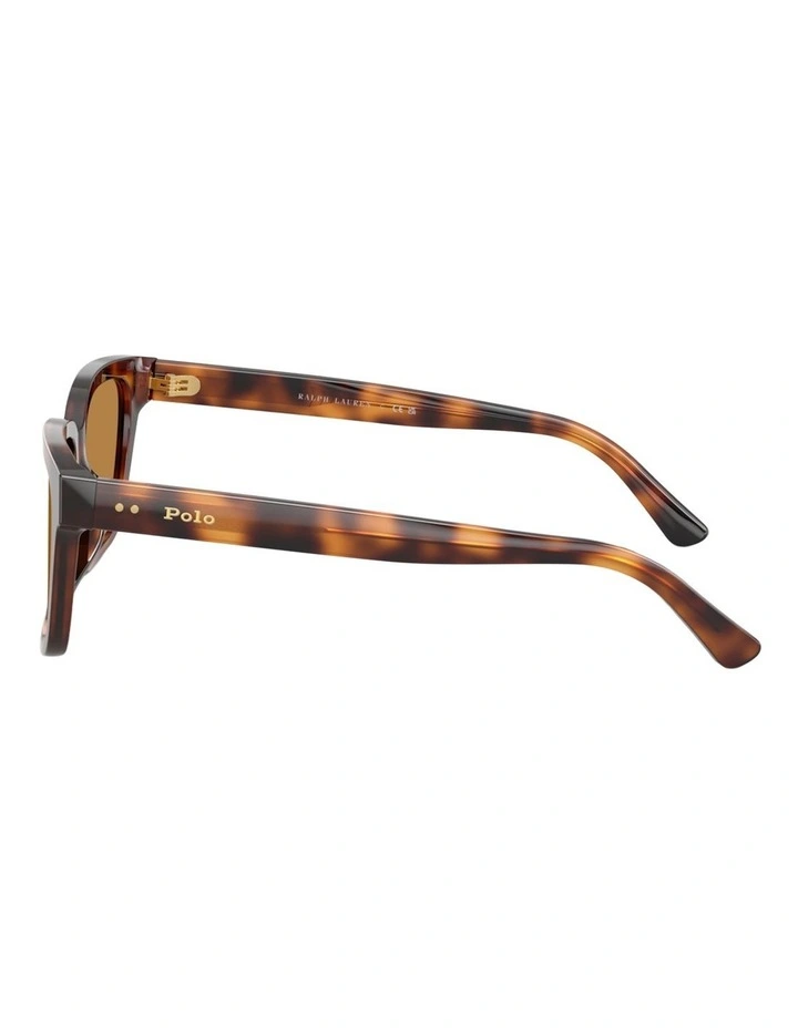 Polo Ralph Lauren Acetate Sunglasses in Tortoise image 2