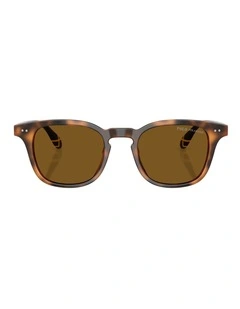 Polo Ralph Lauren  Acetate Polarised Sunglasses in Tortoise