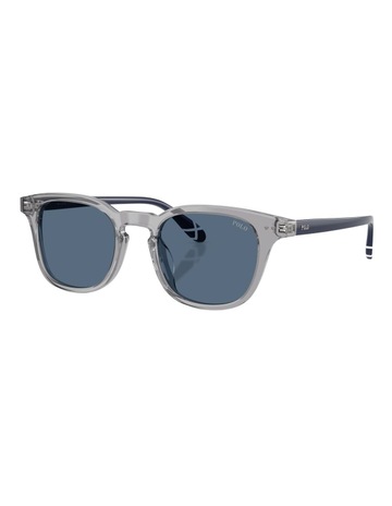 Shiny Transparent Grey colour