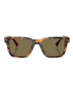 Polo Ralph Lauren  Acetate Sunglasses in Tortoise