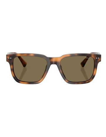 Shiny Tortoise colour