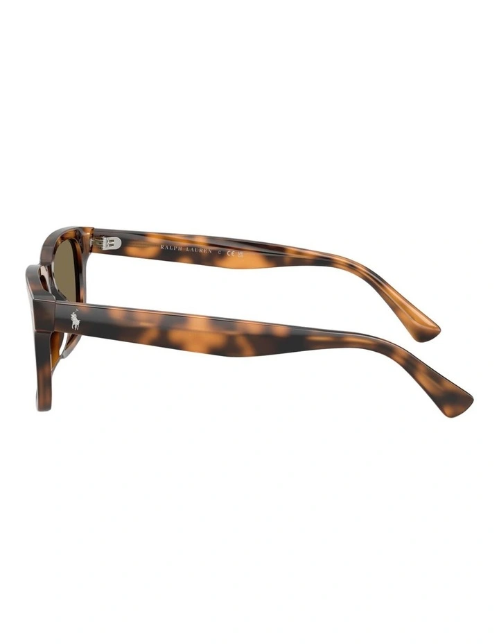 Polo Ralph Lauren Acetate Sunglasses in Tortoise image 3