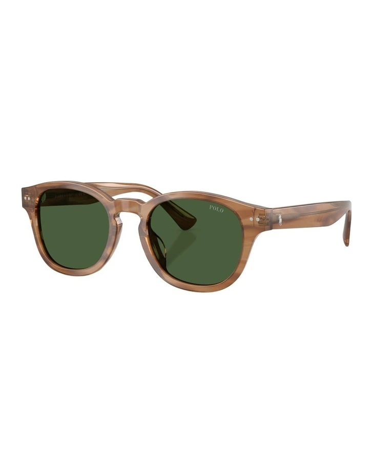 Polo Ralph Lauren Acetate Sunglasses in Brown image 1