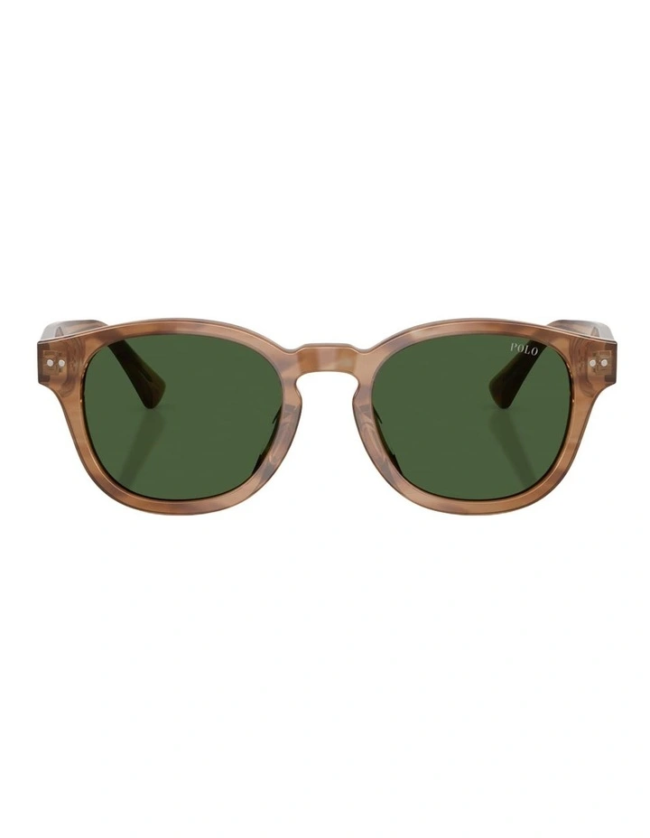 Polo Ralph Lauren Acetate Sunglasses in Brown image 2
