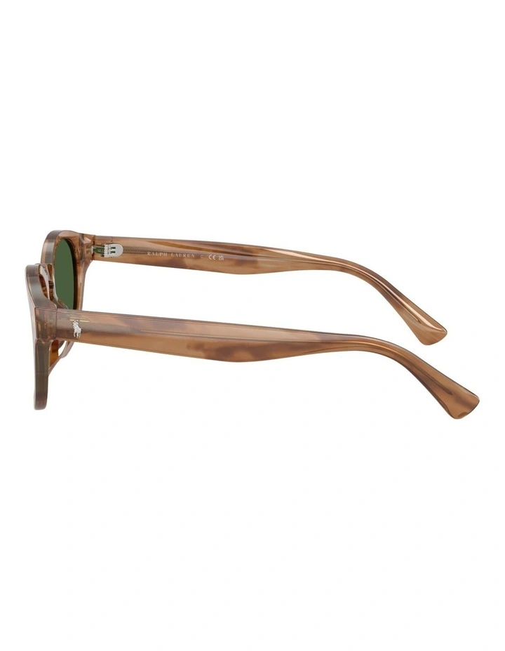 Polo Ralph Lauren Acetate Sunglasses in Brown image 3