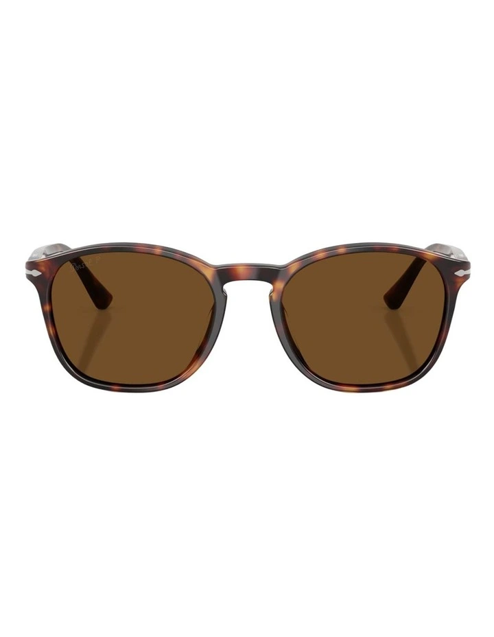 Persol Acetate Polarised Sunglasses in Tortoise image 1