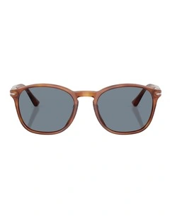 Persol Acetate Sunglasses in Brown