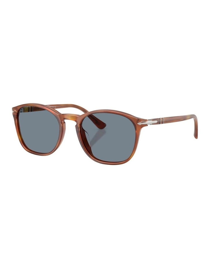 Persol Acetate Sunglasses in Brown image 1