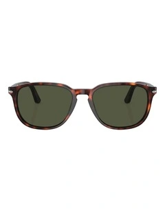 Persol PO3019S Acetate Sunglasses in Tortoise