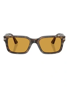 Persol Acetate Sunglasses in Brown