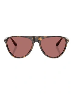 Persol Acetate Polarised Sunglasses in Brown
