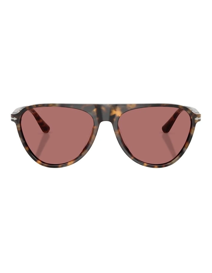 Persol Acetate Polarised Sunglasses in Brown image 1