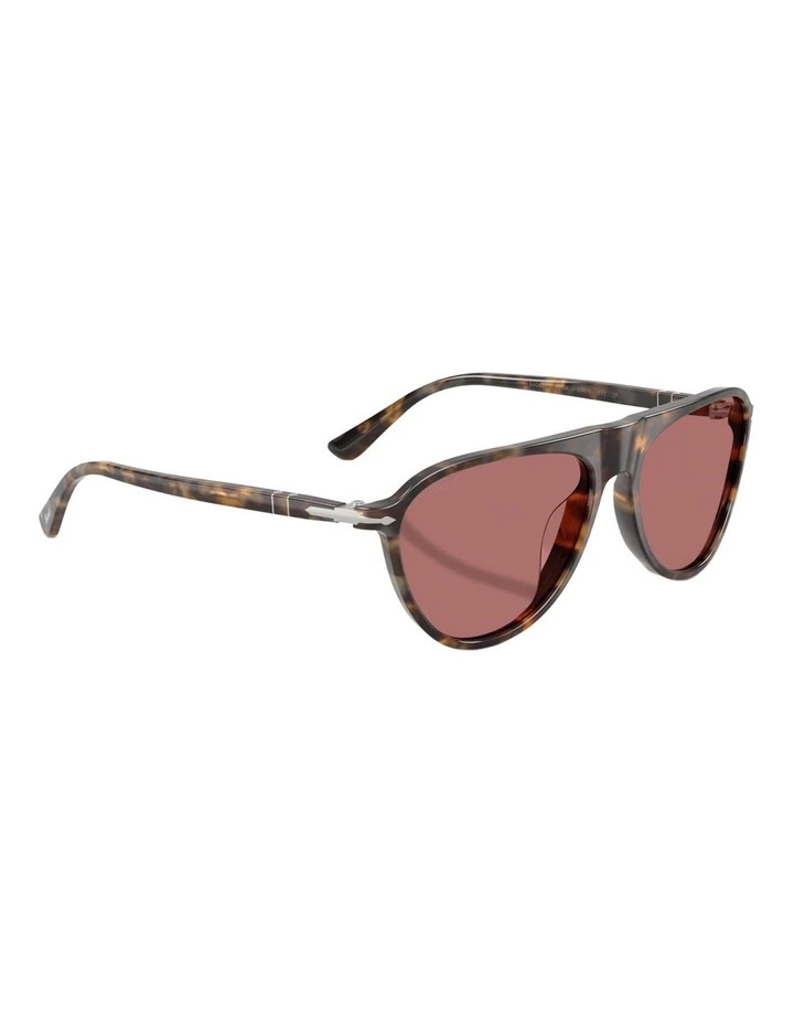 Persol Acetate Polarised Sunglasses in Brown image 4