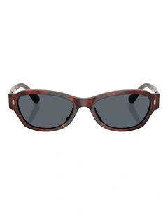 Persol  Acetate Sunglasses in Havana