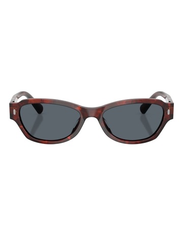 Red Brownish Havana colour