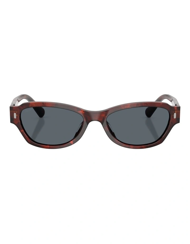 Persol Acetate Sunglasses in Havana image 1
