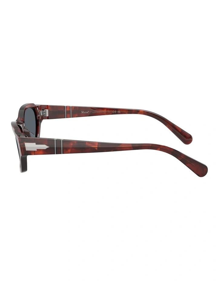 Persol Acetate Sunglasses in Havana image 2