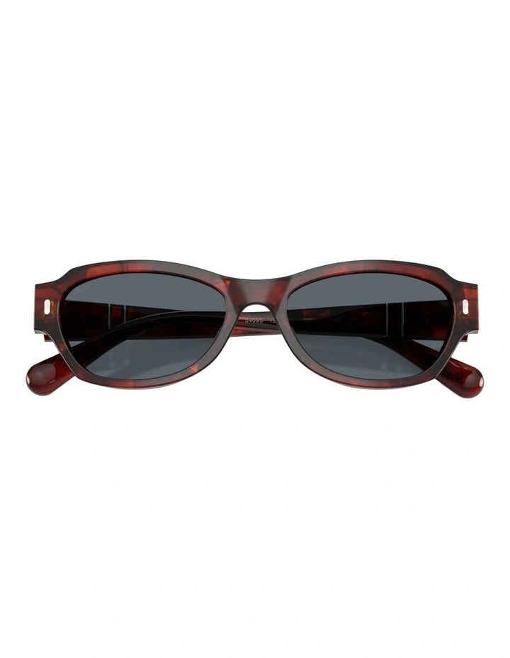 Persol Acetate Sunglasses in Havana image 3