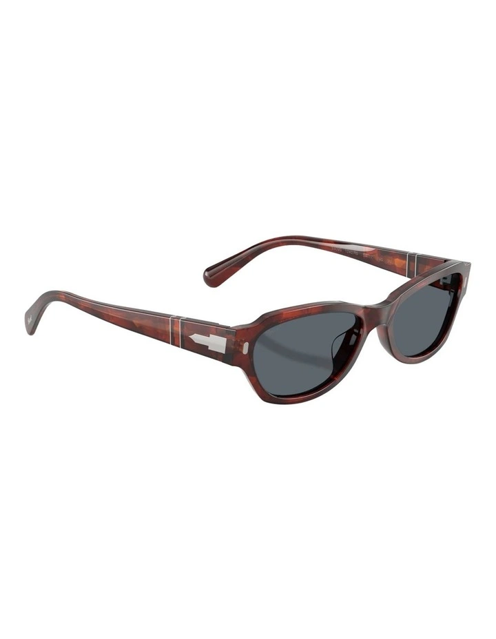 Persol Acetate Sunglasses in Havana image 4