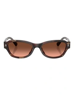 Persol  Acetate Sunglasses in Tortoise