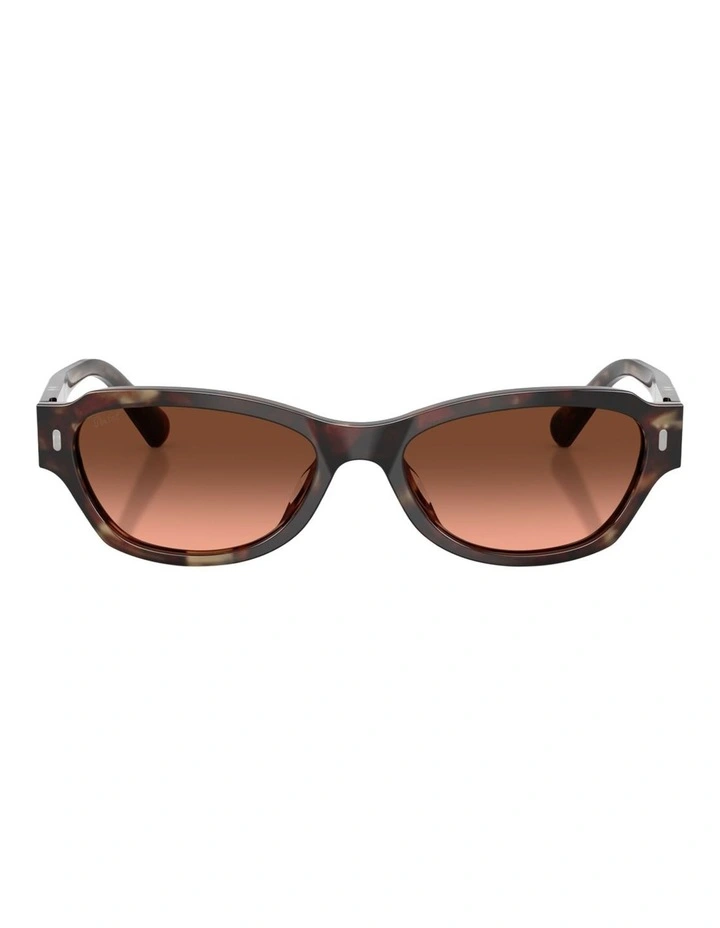 Persol Acetate Sunglasses in Tortoise image 1