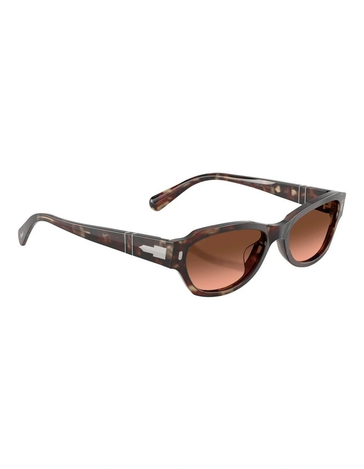 Persol Acetate Sunglasses in Tortoise image 3