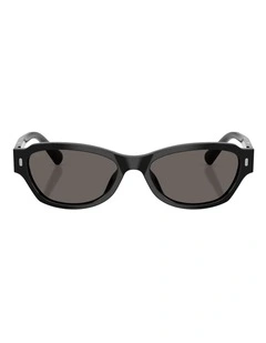 Persol  Acetate Sunglasses in Black