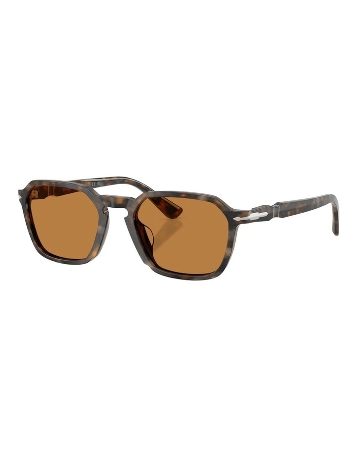 Persol Acetate Sunglasses in Brown image 1