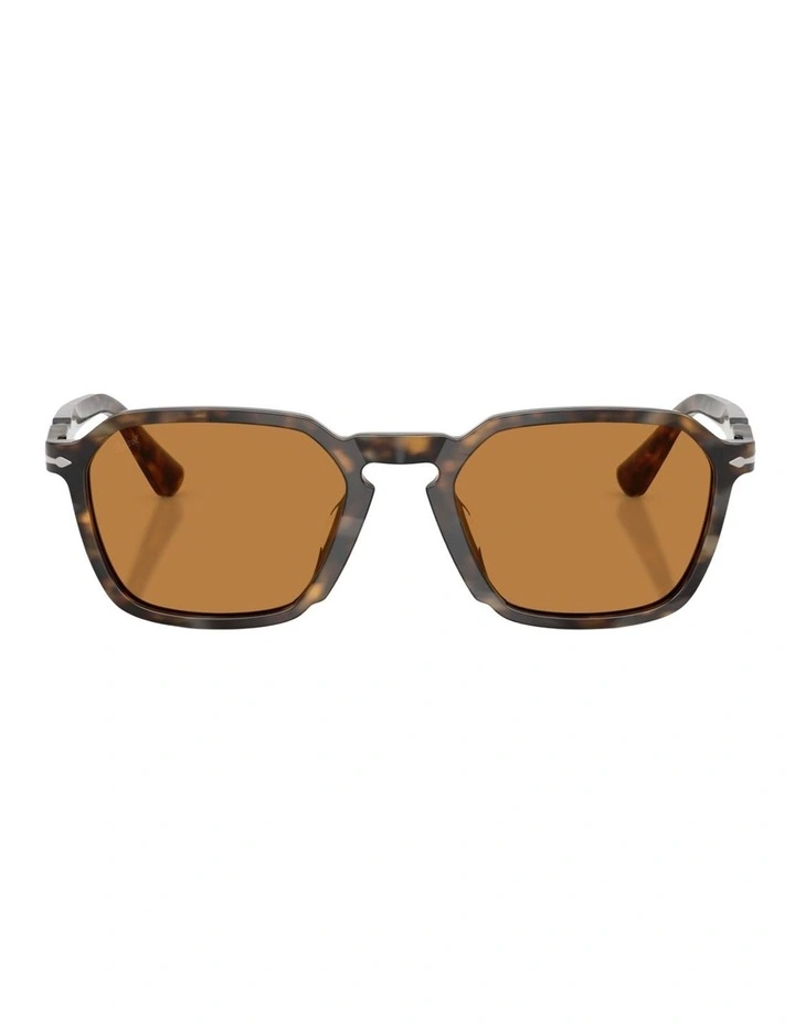 Persol Acetate Sunglasses in Brown image 1