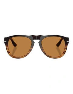 Persol Acetate Sunglasses in Brown