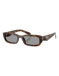 Prada  Acetate Sunglasses in Tortoise