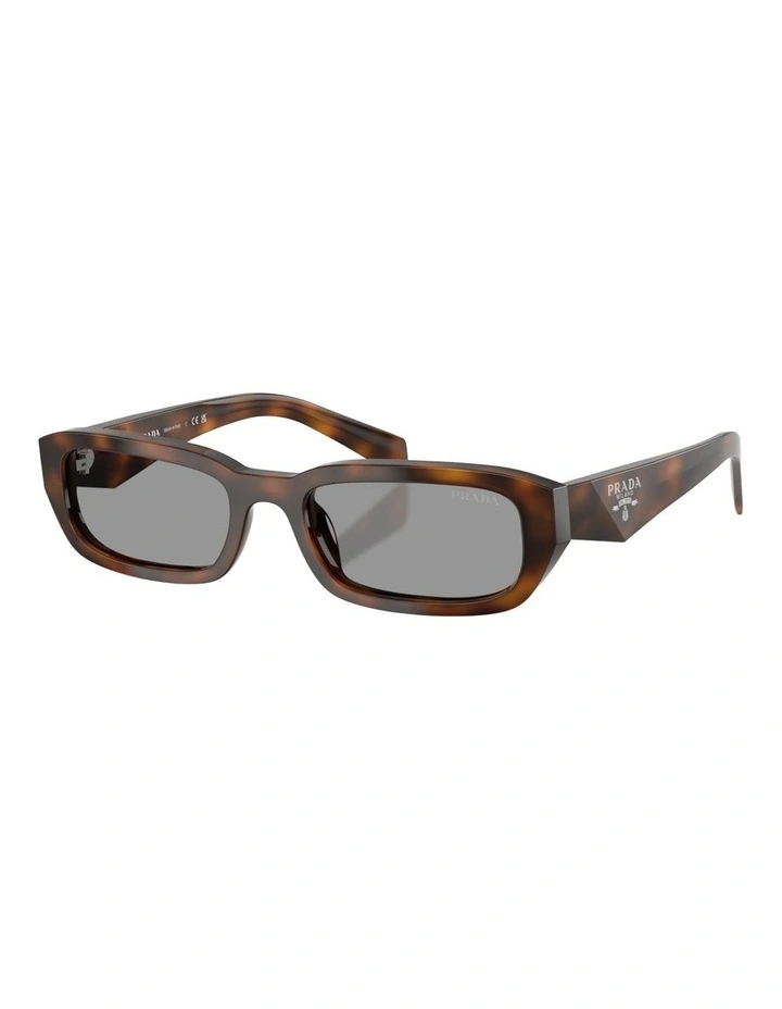 Prada Acetate Sunglasses in Tortoise image 1