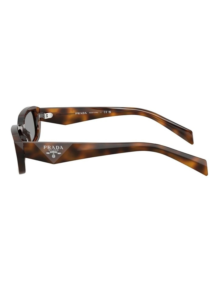 Prada Acetate Sunglasses in Tortoise image 3