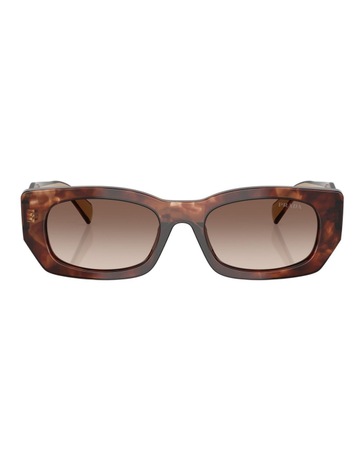 Caramel Tortoise colour
