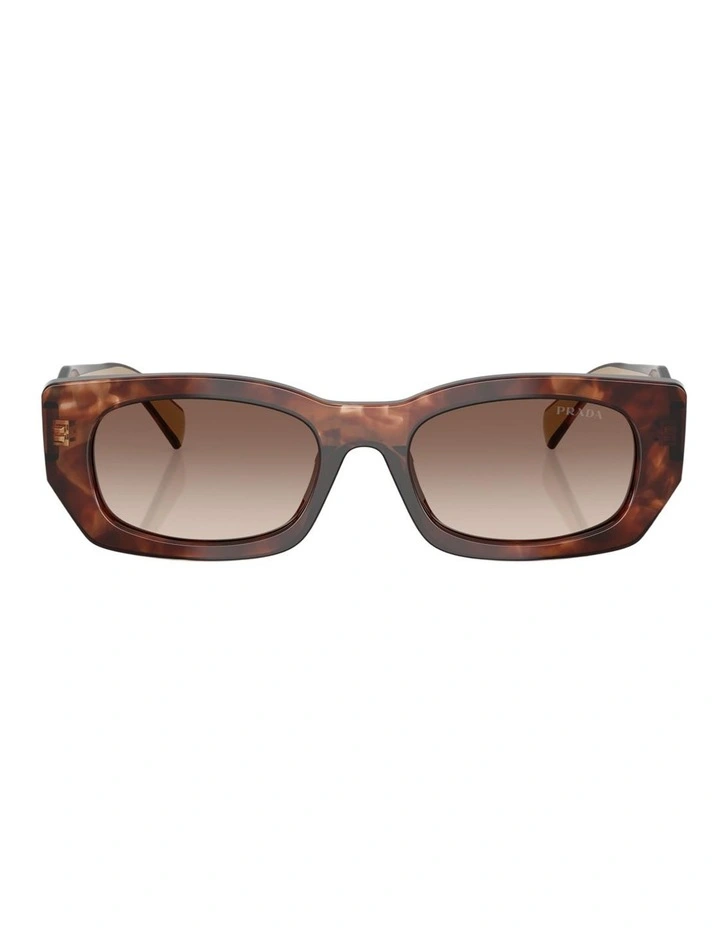 Prada Acetate Sunglasses in Tortoise image 1