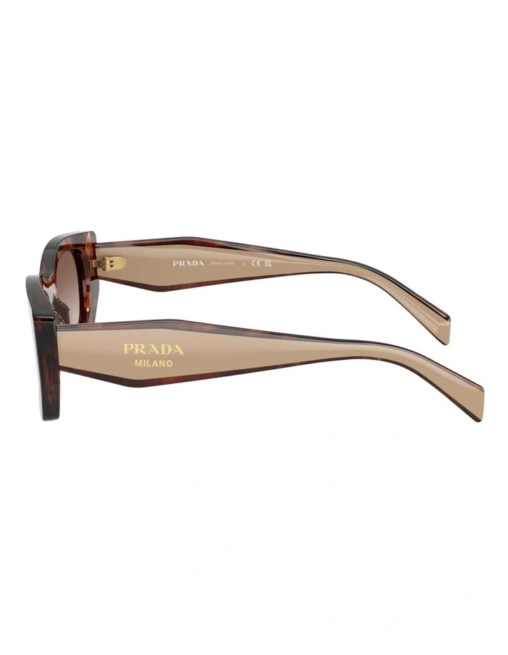 Prada Acetate Sunglasses in Tortoise image 2