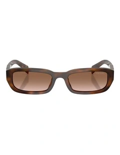 Prada  Acetate Sunglasses in Tortoise
