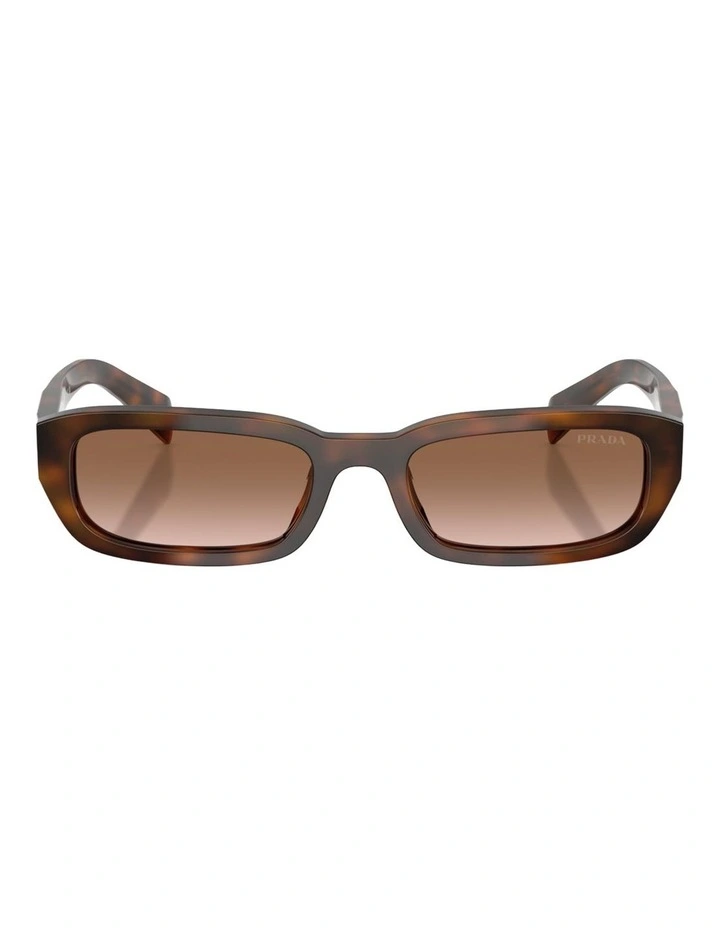 Prada Acetate Sunglasses in Tortoise image 1