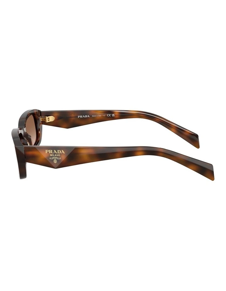 Prada Acetate Sunglasses in Tortoise image 2