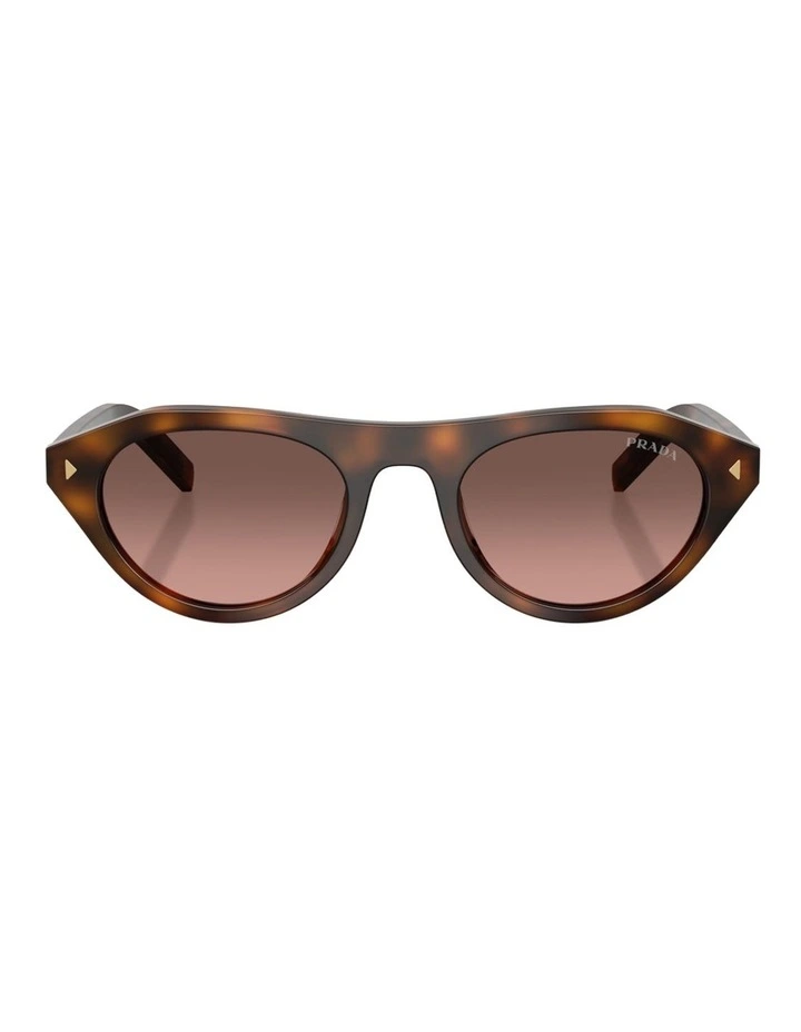 Prada Acetate Sunglasses in Tortoise image 2