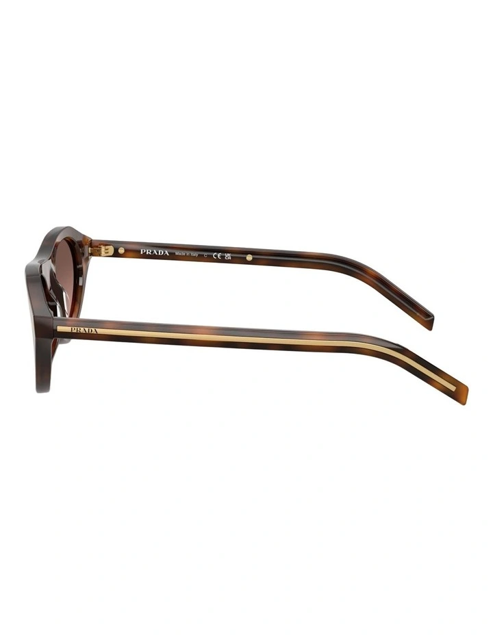 Prada Acetate Sunglasses in Tortoise image 3